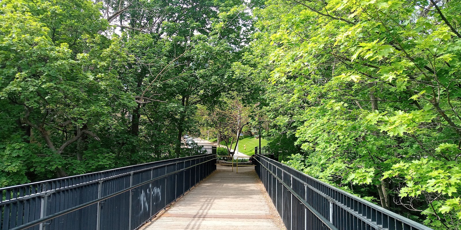 Rosedale Ravine Lands Park