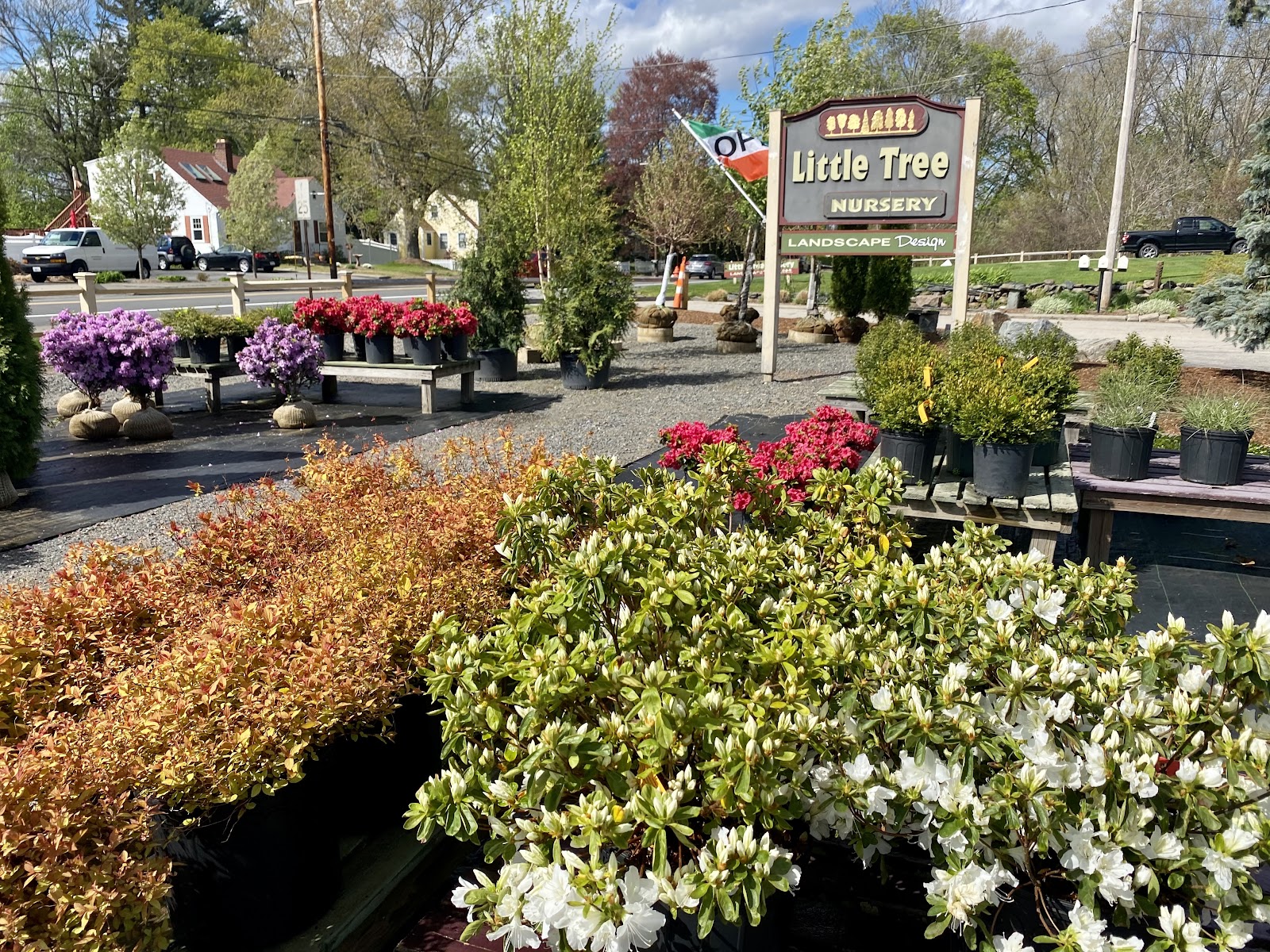 Little Tree Nurseries