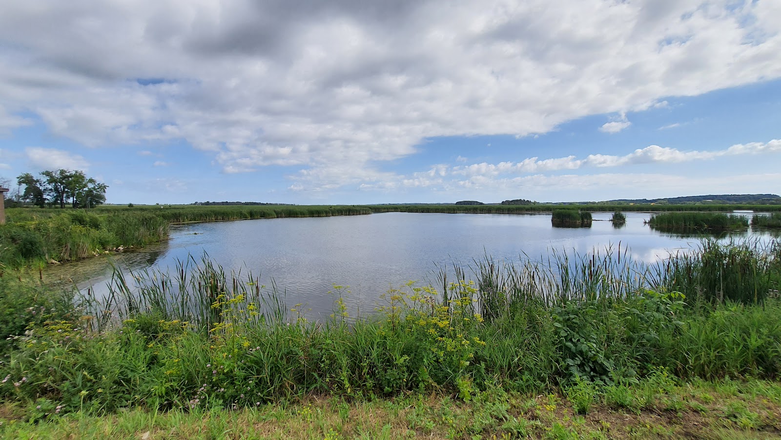 Horicon Marsh State Wildlife Area
