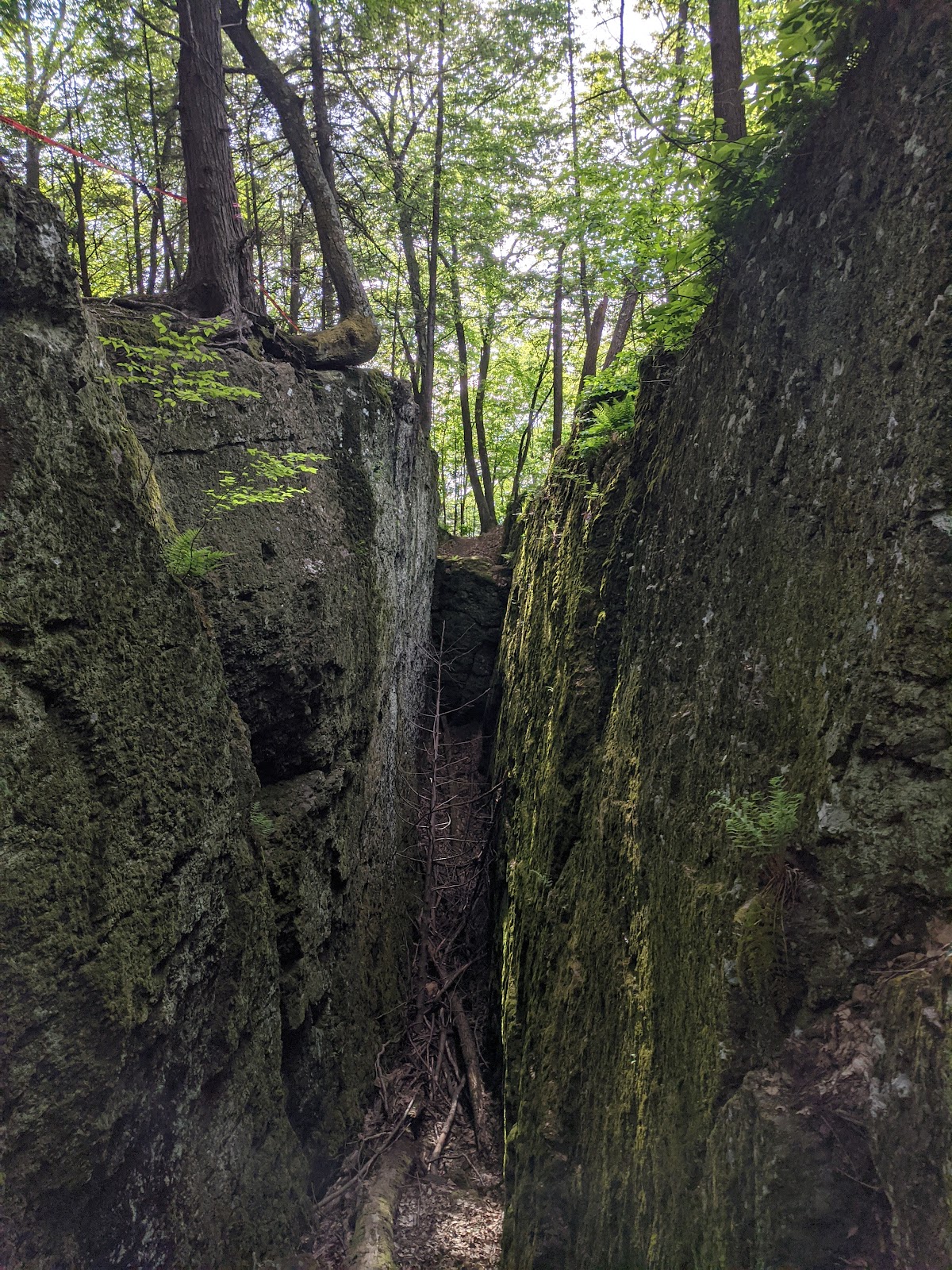 Sunderland Caves