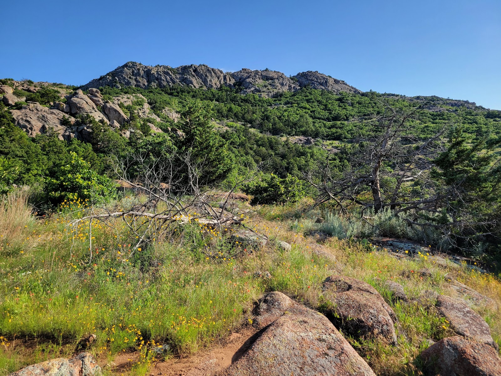 Elk Mountain Trail