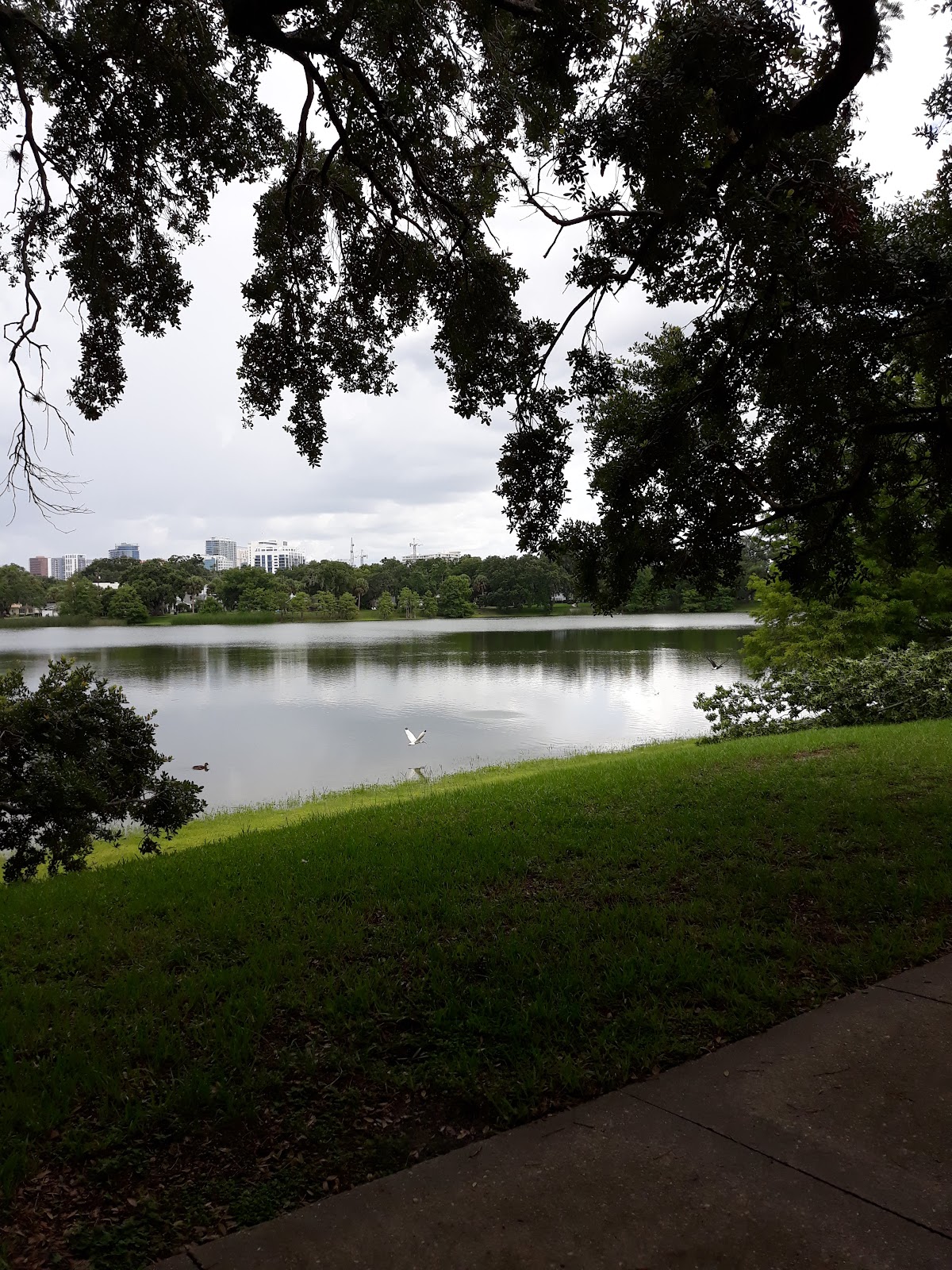 Lake Davis Park