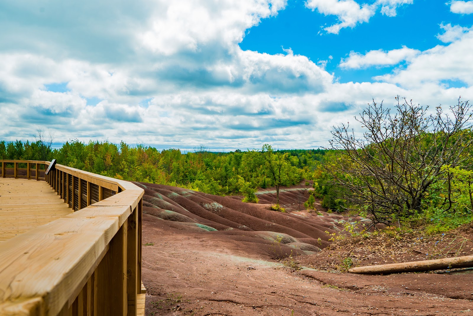Cheltenham Badlands