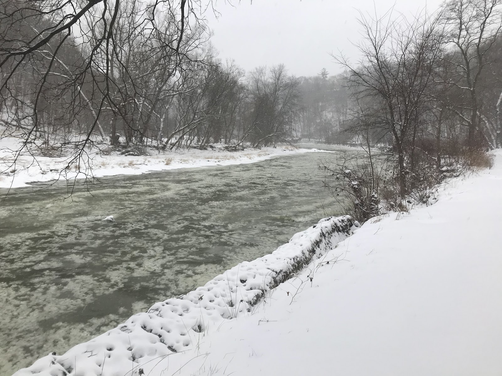 Lambton - Kingsway Park