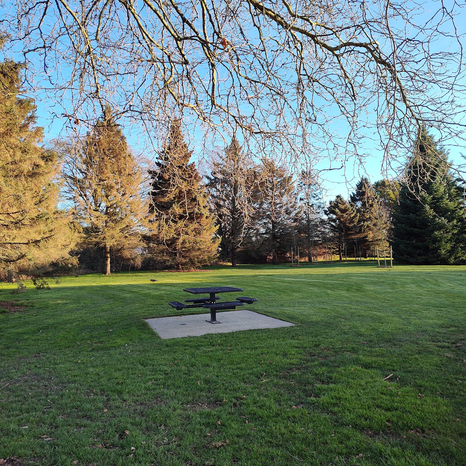 Westham Island Park