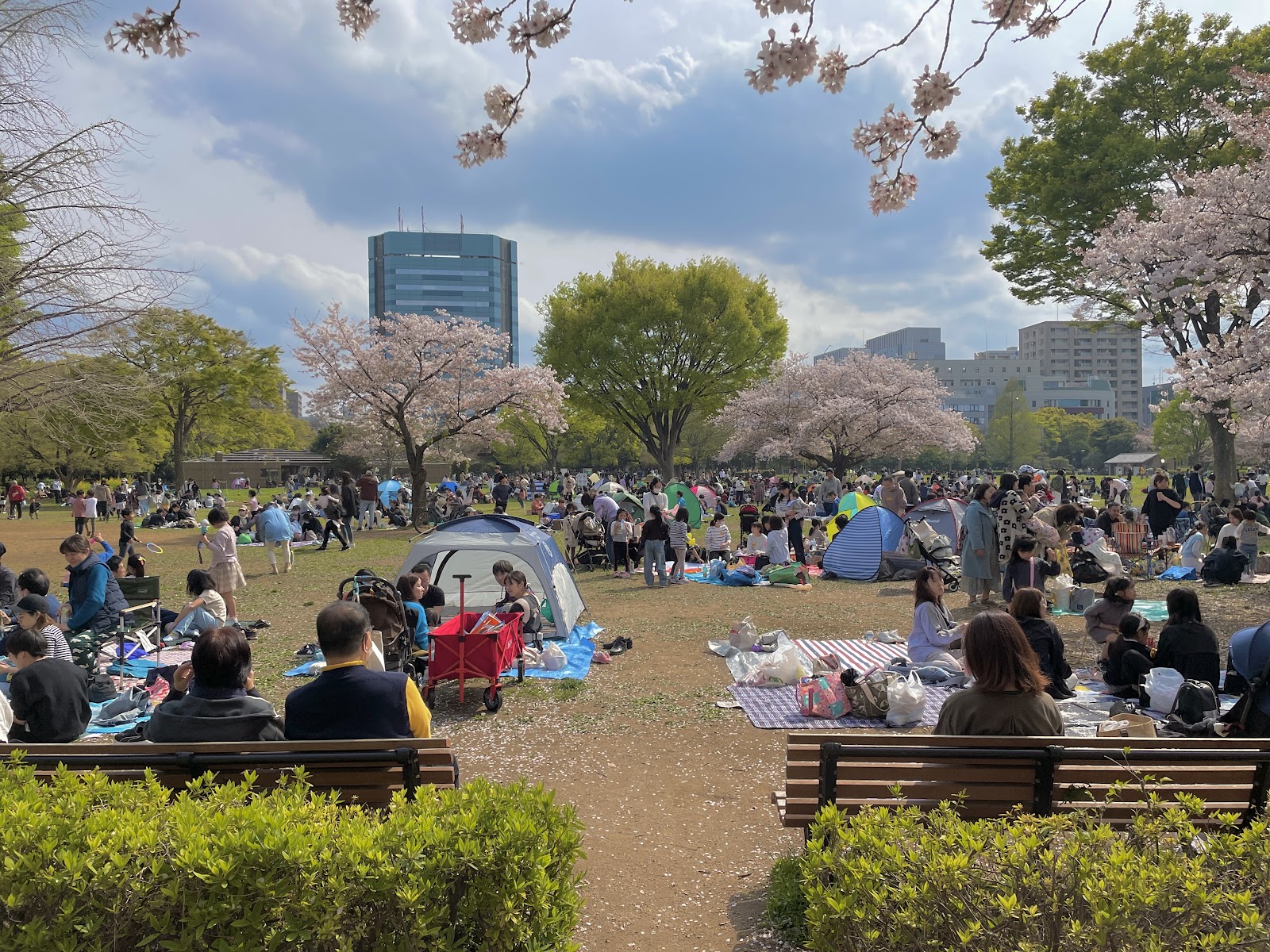 Kiba Park